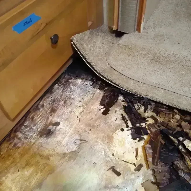 Wood Floor Water Damage in Clayton, MO